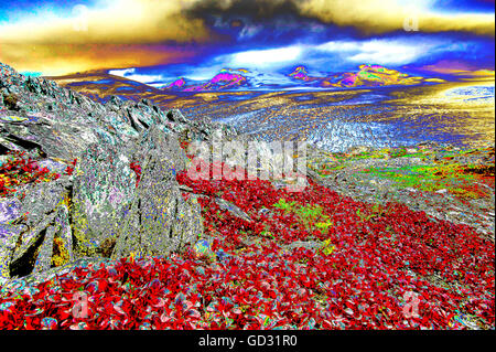 L'Uva ursina alpino di fronte all'Harding Campo di ghiaccio, il Parco nazionale di Kenai Fjords, Alaska. La lastra di ghiaccio fino a 5000 piedi spesso in luoghi di assottigliamento è dovuta a temperature di riscaldamento. Foto Stock