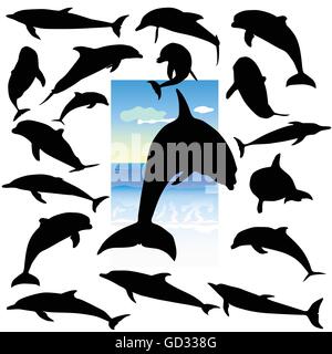 Dolphin silhouetttes nero a colori su sfondo bianco Illustrazione Vettoriale