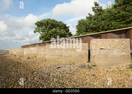 Durante la Seconda Guerra Mondiale anti serbatoio difesa. Blocchi di calcestruzzo di rivestimento del beach testa sul lato nord di Hayling Island in Hampshire Foto Stock