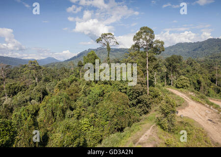 Vista su Maliau foreste pluviali protette dalla torre di osservazione, Borneo Sabah Malaysia Foto Stock