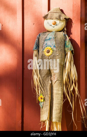 In casa di bambola di paglia o spaventapasseri decorazione in Duvall, Washington, Stati Uniti d'America Foto Stock