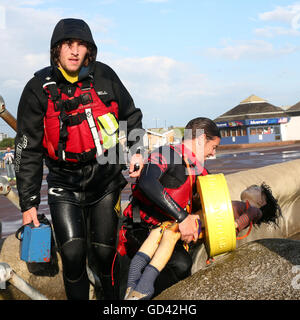 Portsmouth, Hampshire, Regno Unito. 12 luglio 2016. Stelle della schermata di argento sono stati avvistati in Southsea oggi. La stella di Hollywood e autore, Joan Collins e Pauline Collins di Shirley Valentine fama, si trovavano nella zona riprese per 'Il tempo della loro vita', un Thelma e Louise style storia di due donne che trovano amicizia attraverso un viaggio indimenticabile. Hanno trascorso la maggior parte della giornata di riprese nel Queen's Hotel sala da ballo che era fuori di limiti per gli ospiti per tutta la durata. Credito: uknip/Alamy Live News Foto Stock
