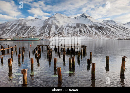 Palificazioni di legno Siglufjörður Affitto in porto, il nord dell'Islanda Foto Stock
