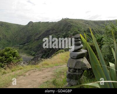 Nuova Zelanda Bush a piedi Foto Stock