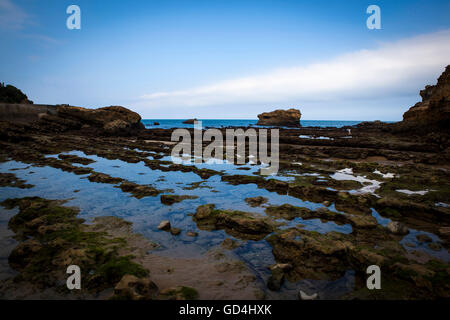 Biarritz a bassa marea, Port des pecheurs, Pays Basque, Francia Foto Stock