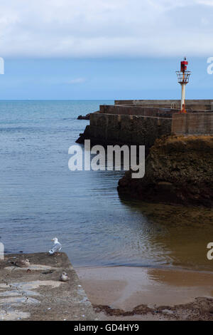 Biarritz a bassa marea, Port des pecheurs, Pays Basque, Francia Foto Stock