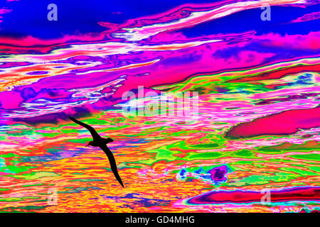 Un Albatro errante oltre oceano meridionale. Foto Stock