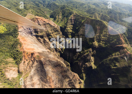 Paesaggio con cespugli di erba sul suolo di origine vulcanica isola grande . Hawaii. Stati Uniti d'America Foto Stock