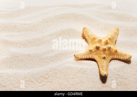 Starfish sulla sabbia con i contrassegni di onde. Estate spiaggia sfondo. Vista da sopra Foto Stock