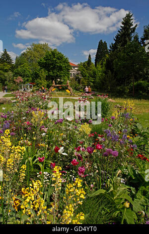 I giardini botanici, la molla, Erlangen, Baviera, Germania Foto Stock