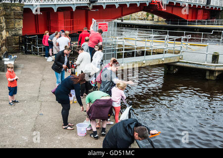 La gente fuori pescato granchi nel porto di Whitby Boswell Ray Foto Stock