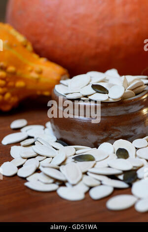 Kuerbiskerne, Cucurbita spec. Foto Stock