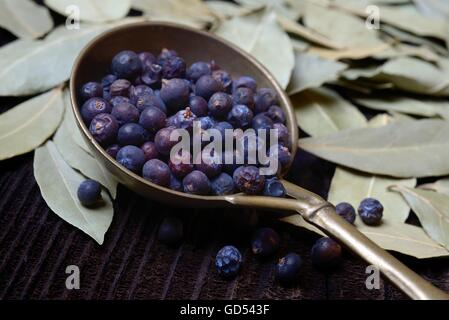 Getrocknete Wacholderbeeren in Messingkelle, getrocknete Lorbeerblaetter / (Juniperus communis), (Laurus nobilis), Lorbeerblaetter, Lorbeerblaetter Foto Stock