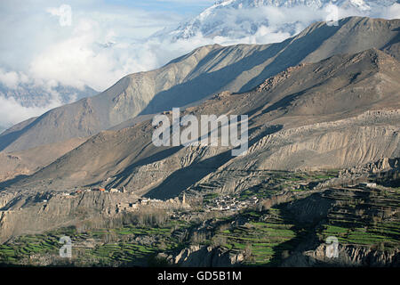 Gamme himalayano Foto Stock