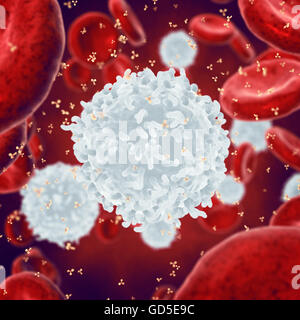Bianco , le cellule rosse del sangue e di anticorpi , i leucociti , malattia infettiva , il sistema immunitario Foto Stock