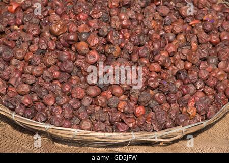 Jujube frutta conservata per vendere, puri, Orissa, India, Asia Foto Stock