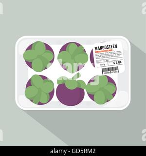 Vista superiore Mangosteen Pack illustrazione vettoriale Illustrazione Vettoriale