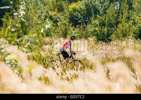 Gomel, Bielorussia - Agosto 9, 2015: Mountain Bike ciclista in sella via in prato con alte erba secca al giorno di sole. Lifesty sani Foto Stock