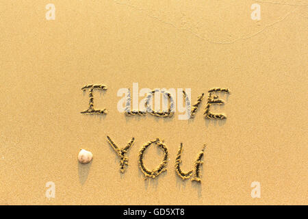 Ti amo - scritto a mano sulla sabbia in linea del mare surf. Foto Stock