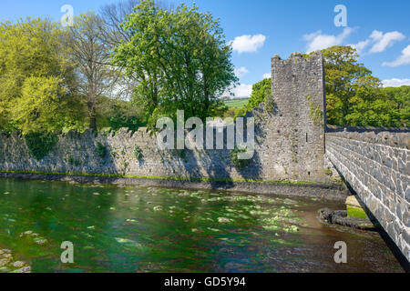 Glenarm (Irish: Valle dell'esercito). un villaggio risalente al periodo normanno insieme in una zona di conservazione, Irlanda del Nord Foto Stock