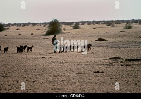 Pastore nel deserto di Thar