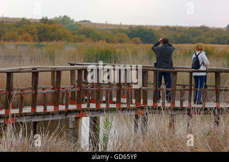 Daimiel, Tablas de Daimiel National Park, Ciudad Real Provincia, Castilla La Mancha, in Spagna Foto Stock