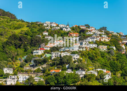 Case colorate di Wellington, in Nuova Zelanda. Wellington è la capitale e il secondo più popoloso area urbana di Nuova Zelanda Foto Stock