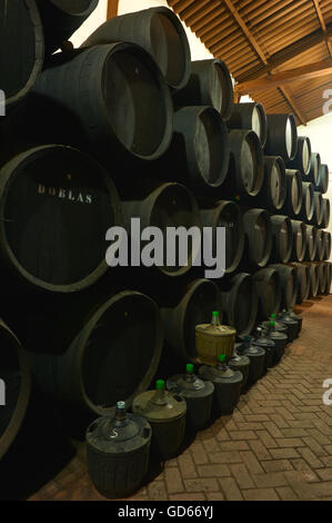 Moriles, Doblas Cantina, Montilla-Moriles area vino, Lagar Bodega Doblas Montilla-Moriles, Strada del Vino, Cordoba, Andalusia, Spagna Foto Stock