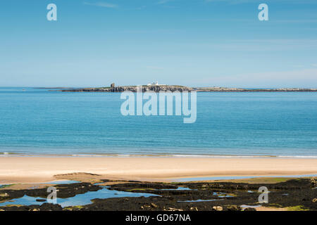 Farne isole al largo della costa del Northumberland, Inghilterra Foto Stock