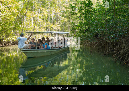 Un tour mangrovie barca piena di turisti messo su dalla società Iguana Tours in Quepos in Costa Rica. Foto Stock