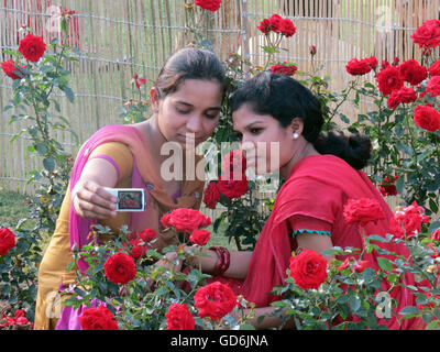 Le ragazze prendendo selfie in un giardino Foto Stock