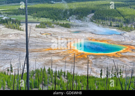 Grand Prismatic Spring e Excelsior Geyser floccata con turisti visto da un vicino colle a sud. Foto Stock