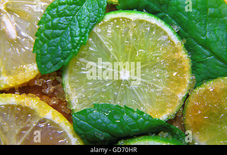 Vista su fette di cedri e limoni, foglie di menta e zucchero di canna posizionato in piano sul terreno Foto Stock