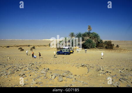 Il paesaggio e la natura nel deserto bianco vicino al villaggio di Farafra nel lybian o deserto occidentale d'Egitto in nord afric Foto Stock