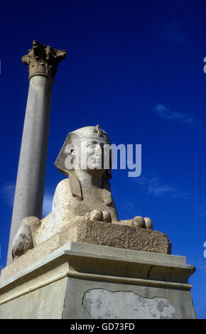 Il pilastro di Pompeo nel centro della città nella città di Alessandria sul Mediterraneo in Egitto in nord africa Foto Stock