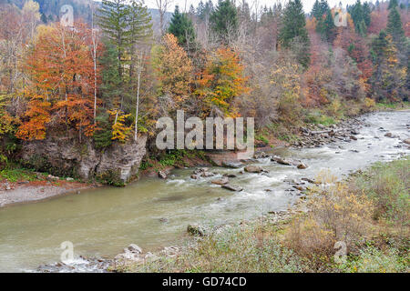 Le montagne dei Carpazi e del fiume Prut in autunno, Ucraina. Foto Stock