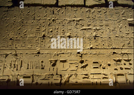 Geroglifici egiziani, rilievo, tempio complesso tempio di Karnak, Karnak Luxor Egitto