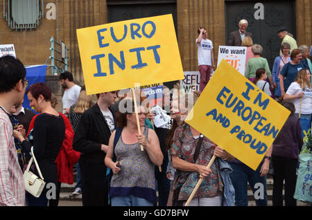 Pro Rally dell'UE tenutasi dopo il referendum Brexit votato per il Regno Unito per lasciare la UE, Norwich Luglio 2016, UK, Norwich votato a rimanere Foto Stock