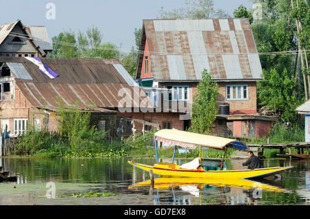 Shikara, barca a remi su dal lago, Srinagar, India, Foto Stock