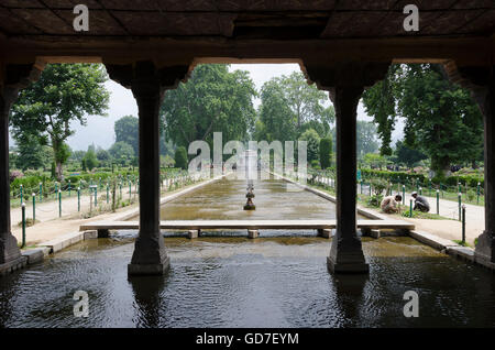 Nishat Giardino Mughal, Srinagar, Jammu e Kashmir India Foto Stock