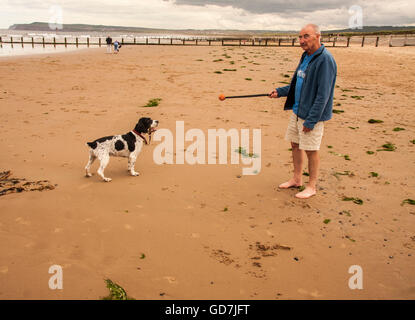 Uomo maturo preparando a lanciare la palla per la sua Springer spaniel cane sulla spiaggia a Redcar Foto Stock