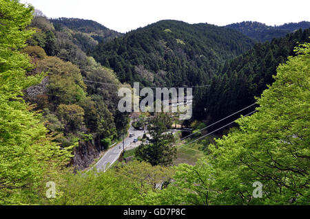 Trekking sul monte Yoshino, Prefettura di Nara, Giappone Foto Stock