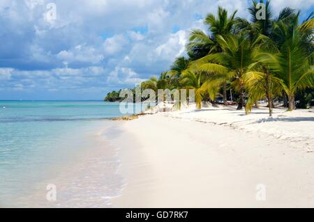 Repubblica Dominicana spiaggia di sabbia bianca Foto Stock