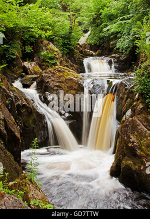 Pecca Twin Falls Foto Stock