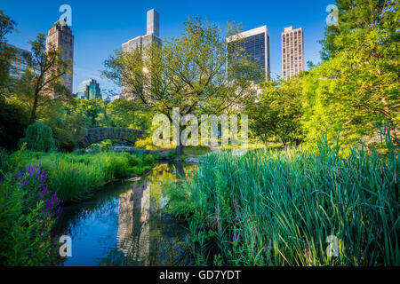 Il Laghetto di Central Park di New York City, con edifici di midtown visibile in distanza Foto Stock