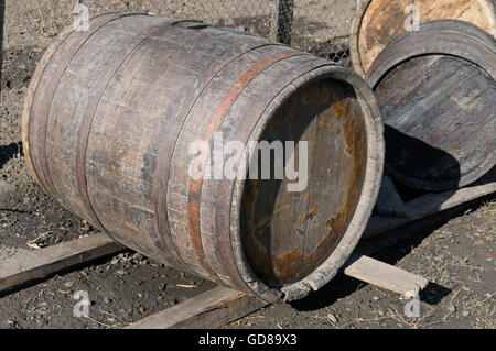 Vecchie botti di rovere per il vino Foto Stock