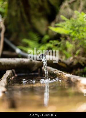 Flusso di acqua da un tubo di plastica nella natura. Foto Stock