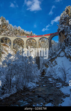 Bernina Express passa attraverso i boschi innevati intorno a Filisur Cantone dei Grigioni Svizzera Europa Foto Stock