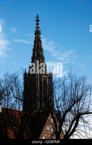 Architettura con la Cattedrale di Ulm, Ulm Baden-Wuerttemberg Germania Europa Foto Stock