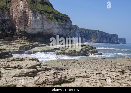 Flamborough Head, mostrando chalk stack e scogliere che si affacciano sul mare del Nord in estate, nello Yorkshire, Regno Unito Foto Stock